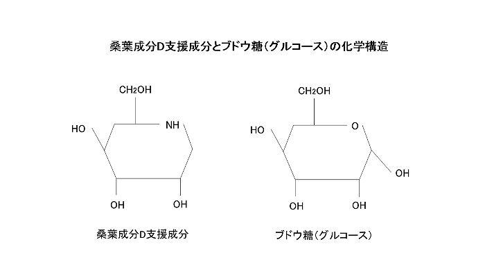 DNJとブドウ糖(グルコース)の化学構造の図