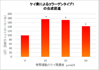 ケイ素によるコラーゲンタイプ１ の合成促進